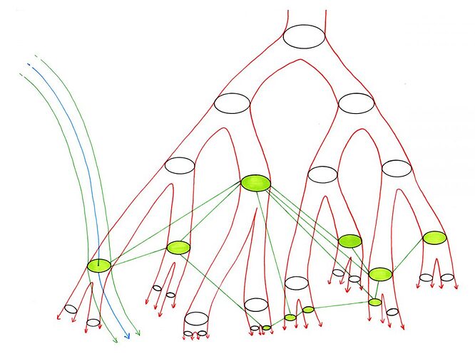 Rhizome_vs_tree