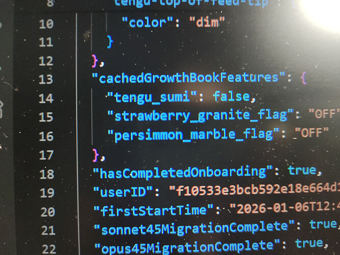 ccr code 然后还是显示登录Claude账号 - 搞七捻三 - LINUX DO