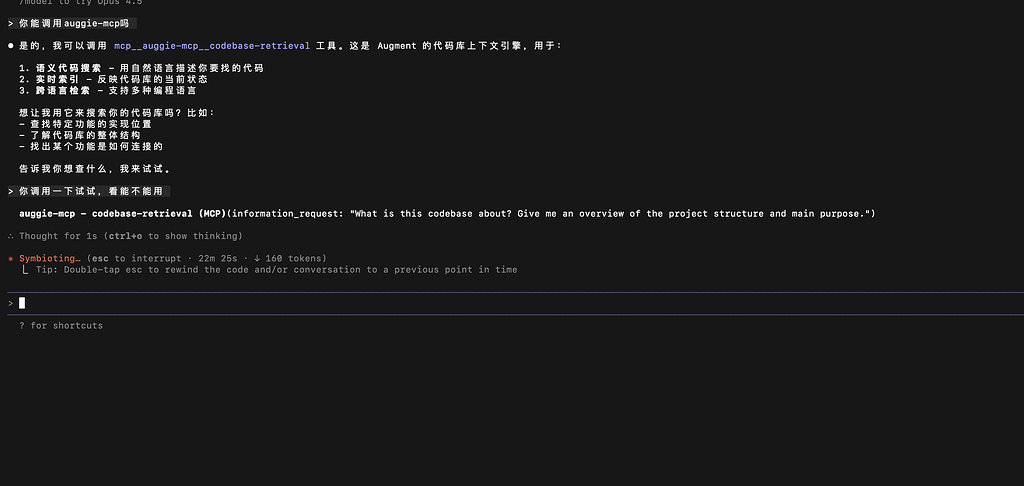 你们的ACE MCP正常吗 - 搞七捻三 - LINUX DO
