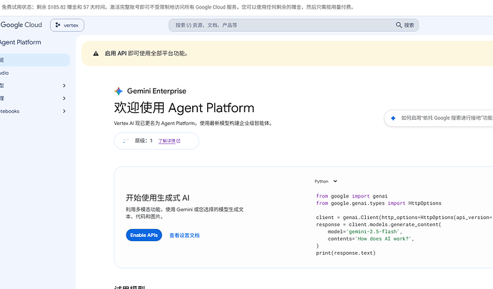 如何使用 Google Cloud Platform 里的 Gemini (Vertex AI) - #133，来自 dljx - 文档共建 ...