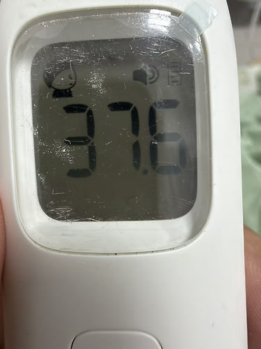 16204