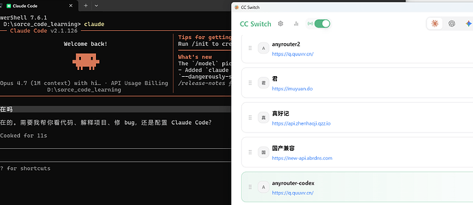 any牌路由器接入codex - #5，来自 yi124773651 - 开发调优 - LINUX DO