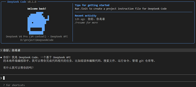 DeepSeekCode
