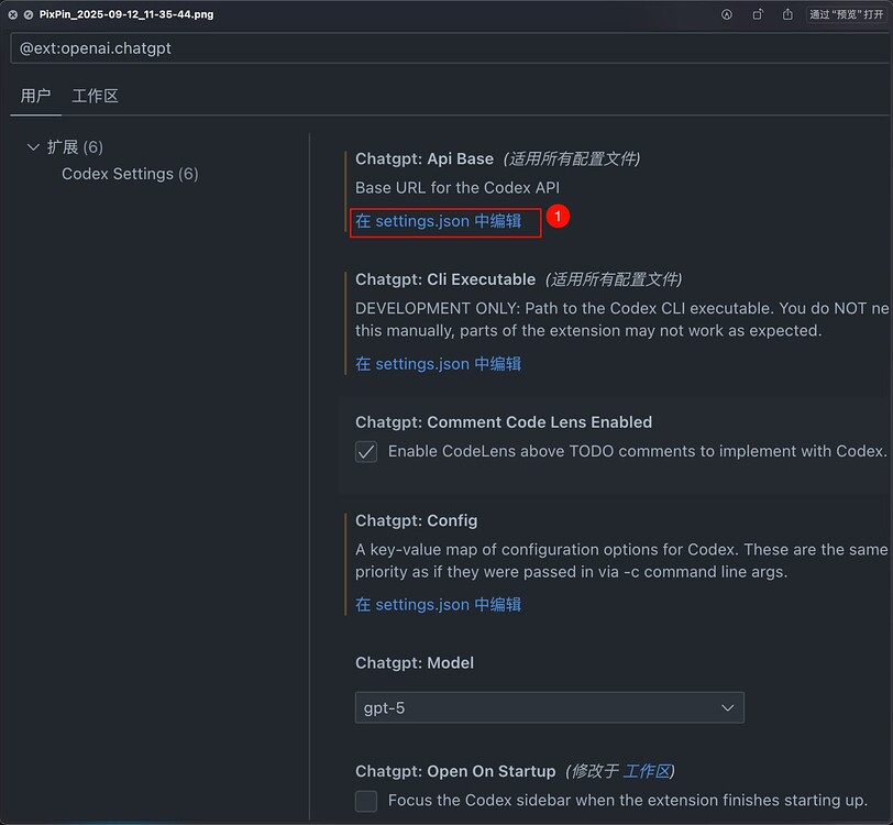 高强度使用 Codex 的心得(如何让它成为一个乖宝宝🤣) - 开发调优 - LINUX DO