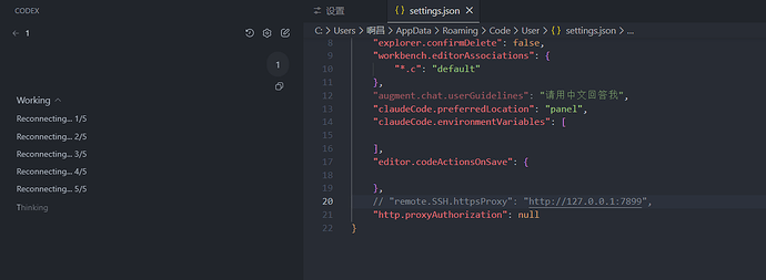 vscode 配置codex 能登录成功 也配置了代理 就是发送信息401 - 开发调优 - LINUX DO