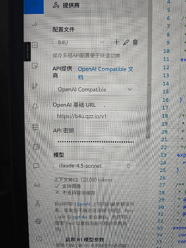 roo code 怎么配置https://b4u.qzz.io/ - #2，来自 chwl66 - 开发调优 - LINUX DO