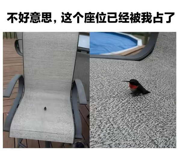 pasted-image-2026-06-10T12-24-04.png