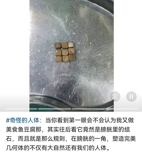 pasted-image-2026-06-25T04-41-48.png