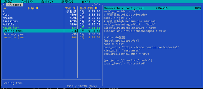 codex插件在vscode里的异常问题 - 开发调优 - LINUX DO