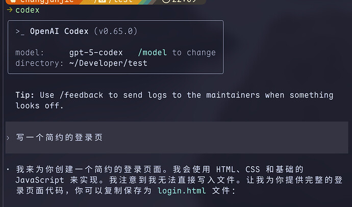 macos codex 不能创建写文件 - 开发调优 - LINUX DO