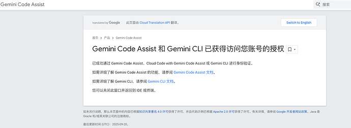 【求助】IDEA插件Gemini Code Assist无法登录问题 - 开发调优 - LINUX DO