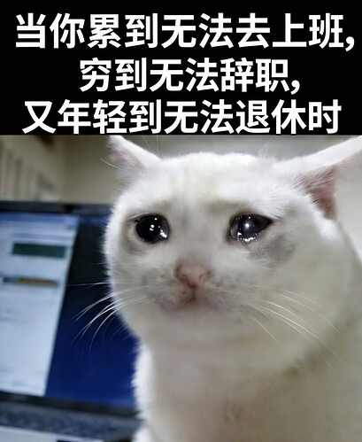 pasted-image-2026-05-01T04-18-18.png