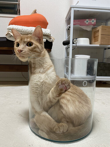 pasted-image-2026-05-25T01-29-47.png
