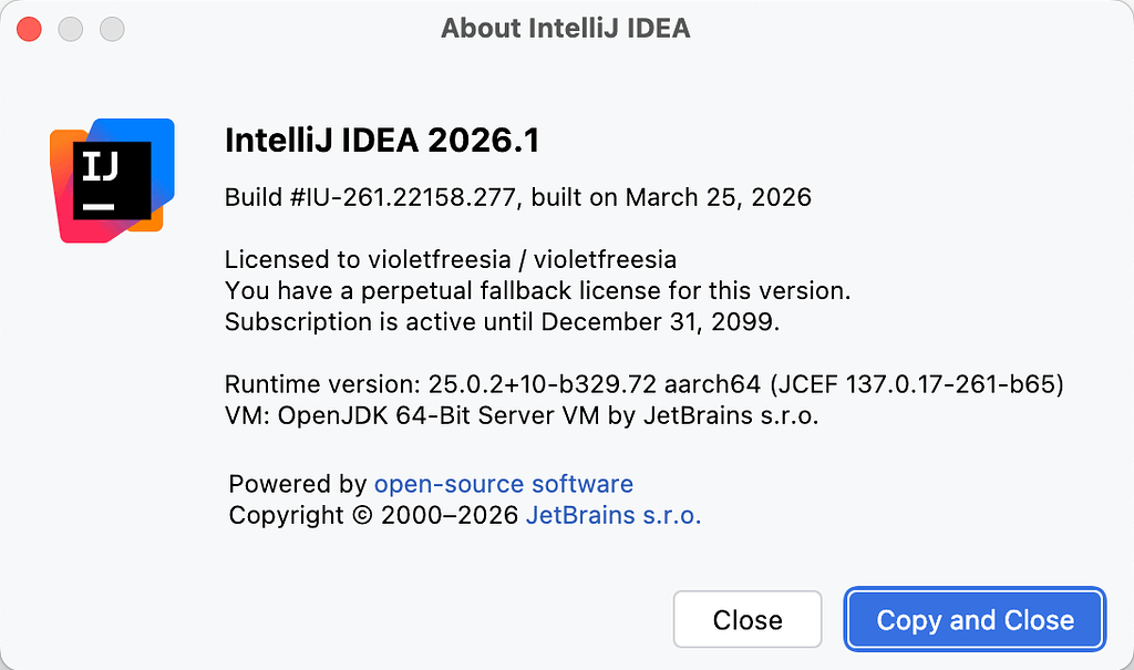 idea2026.1配置优化 - 开发调优 - LINUX DO