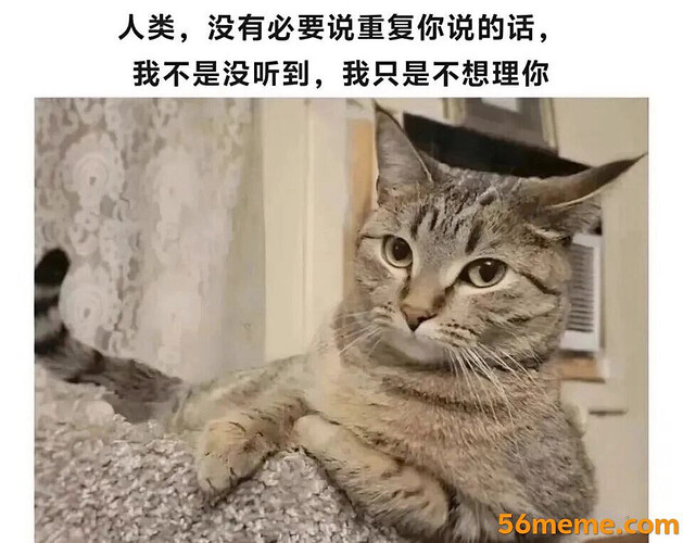 pasted-image-2026-05-11T03-37-00.png