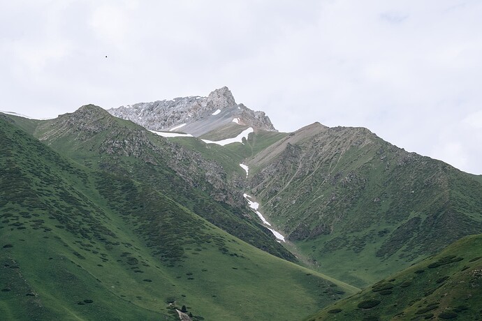 DSC09922