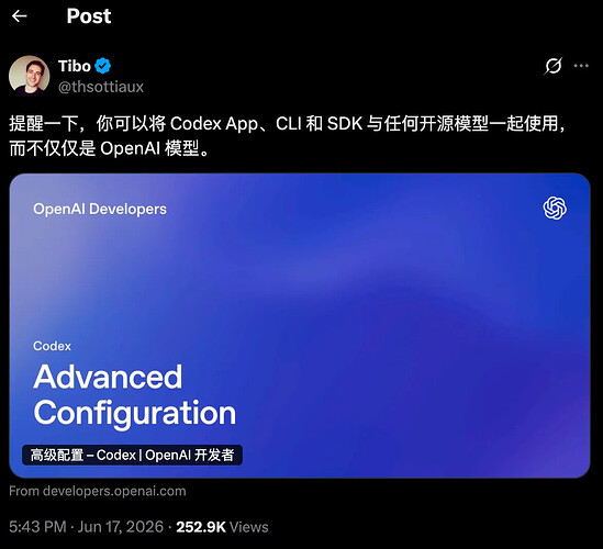 OpenCodex更新2.0.1！原汁原味随时随地的Codex体验！ - 开发调优 - LINUX DO
