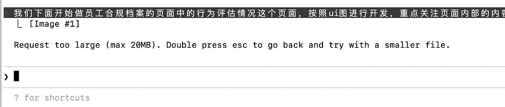 Request too large (max 20MB). Double press esc to go back and try with ...