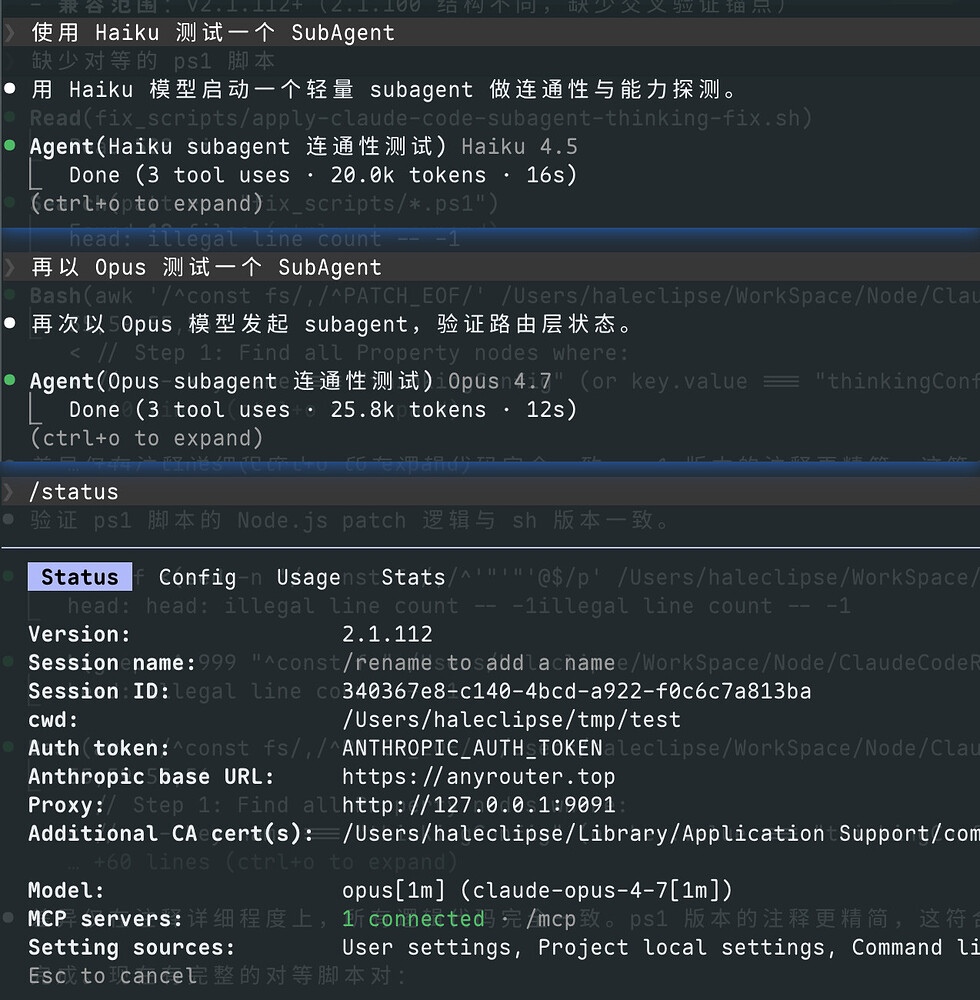 Any牌路由器 SubAgent 和 Haiku 模型无法正常调用的解决办法 - 开发调优 - LINUX DO
