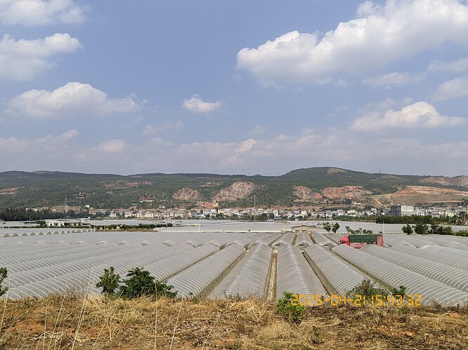 115.jpg