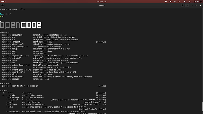 opencode这是怎么了 - 开发调优 - LINUX DO