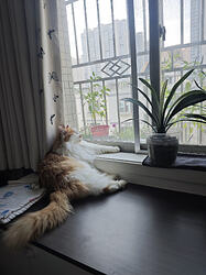 MVIMG_20260726_100048
