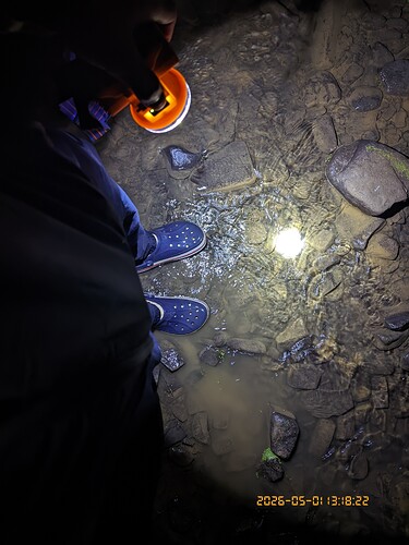 329.jpg