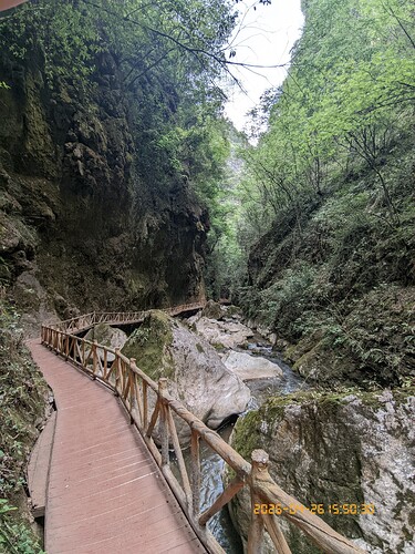 253.jpg