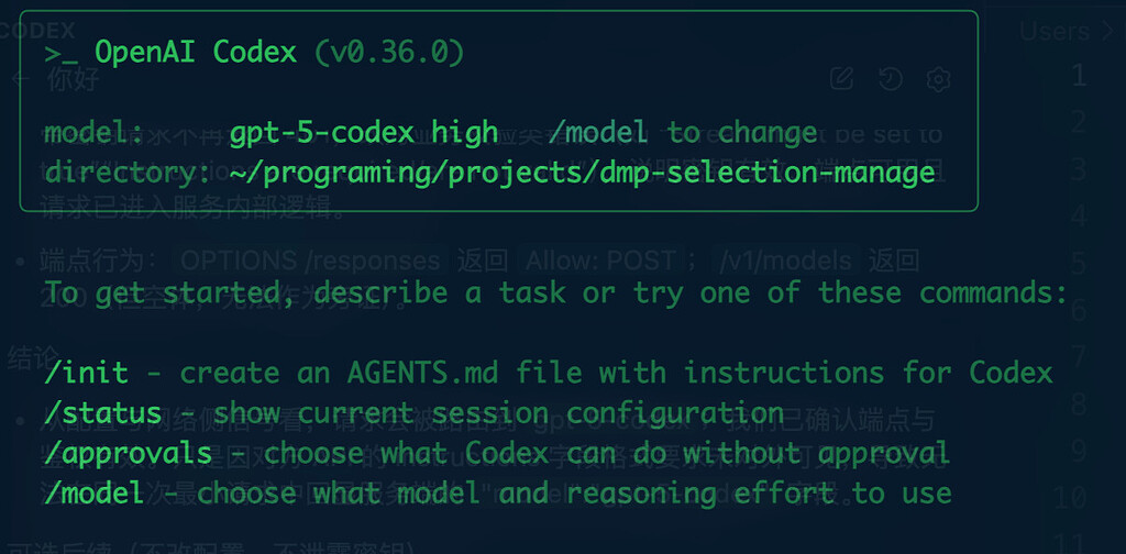 高强度使用 Codex 的心得(如何让它成为一个乖宝宝🤣) - 开发调优 - LINUX DO