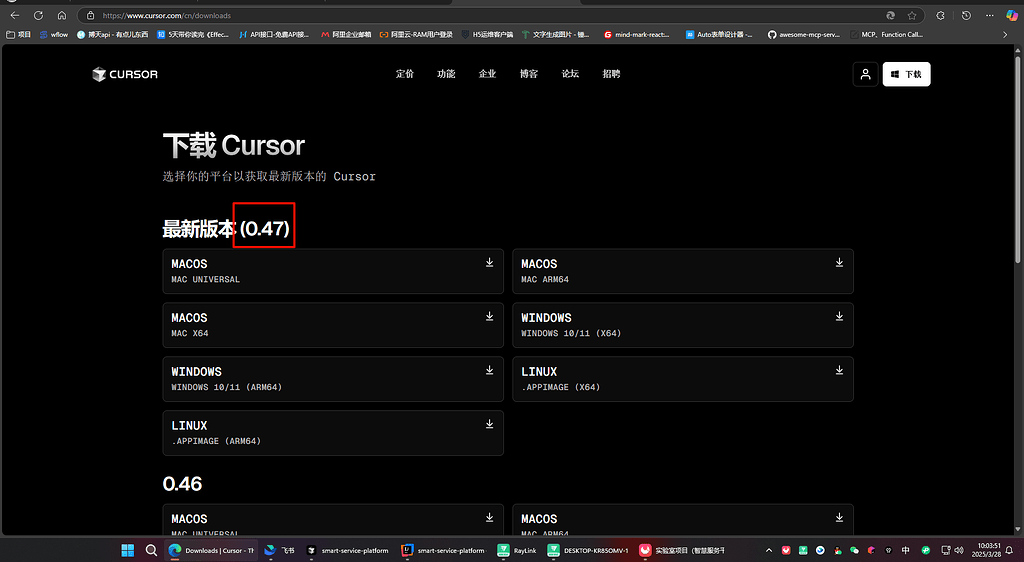 求助 cursor一直更不了0.48 - 开发调优 - LINUX DO