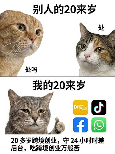 2726fd568f5c01d10169f00eef2220bb