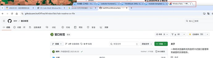 vscode 多项目窗口管理神器:windowTabs - 开发调优 - LINUX DO