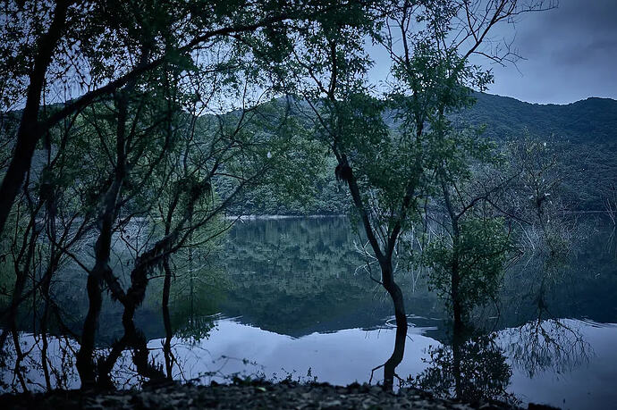 杀木池