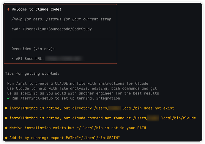 Claude Code 启动警告 - 开发调优 - LINUX DO