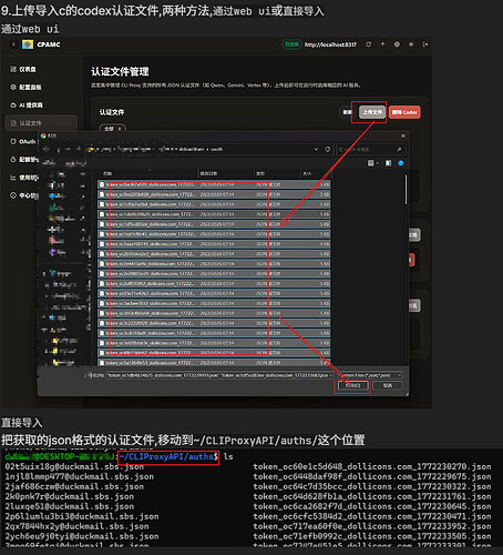 cpa 应该如何导入？？ - #2，来自 torvalds - 开发调优 - LINUX DO