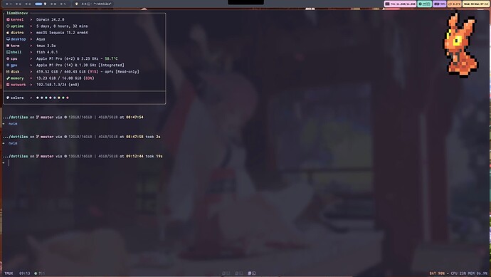 分享日用软件，第二期，好看好用的Shell - 文档共建 - LINUX DO