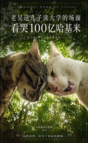 pasted-image-2026-06-06T13-51-12.png