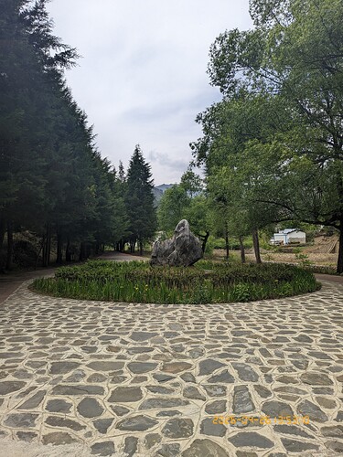 167.jpg