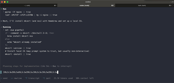 使用 codex cli 的时候为什么 ctrl+c 会变成数字 - 搞七捻三 - LINUX DO
