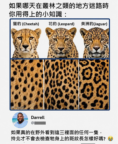 pasted-image-2026-06-09T00-55-16.png
