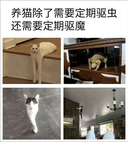 pasted-image-2026-06-10T12-40-38.png