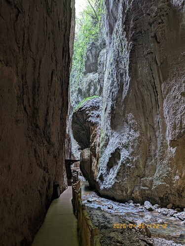 185.jpg
