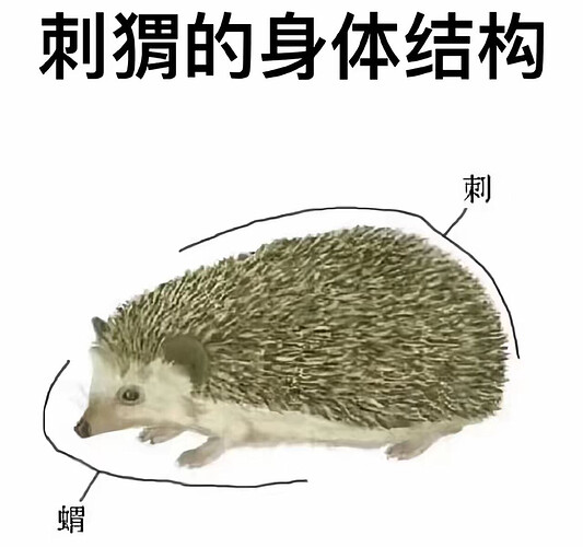 pasted-image-2026-06-01T02-54-29.png