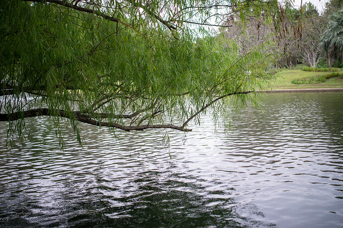 DSC00008