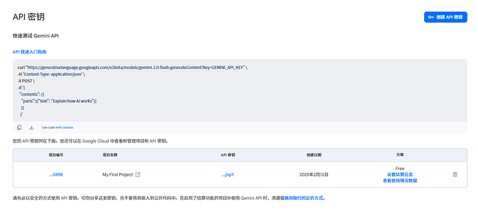 gemini studio API一个能用25次，两个能用50次吗？ - 搞七捻三 - LINUX DO