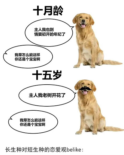 pasted-image-2026-05-27T04-14-32.png