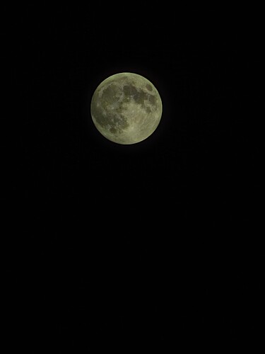 IMG_20250113_193604