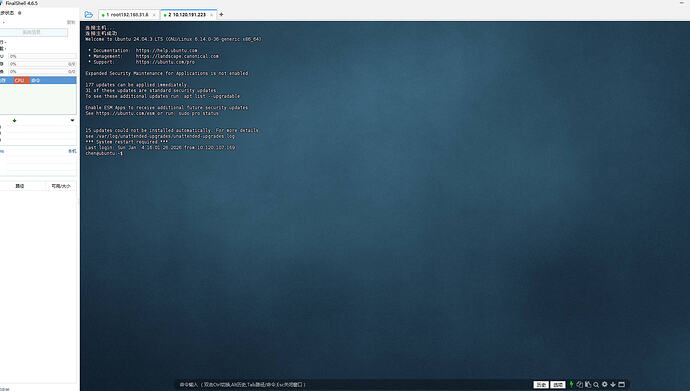 脚本分享：检测Finalshell监控显示异常 - 开发调优 - LINUX DO