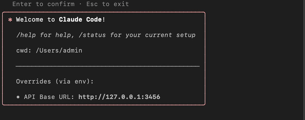 求助MAC的CCR检测不到api key - 搞七捻三 - LINUX DO