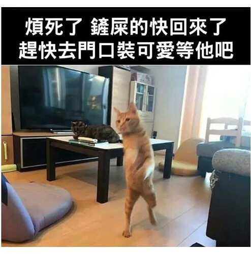 pasted-image-2026-05-25T01-30-35.png